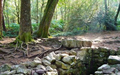 Ego spirituel attention !!!