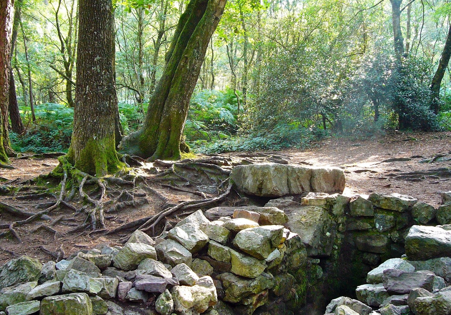 fontaine-barenton-broceliand Photo de la fontaine de Barenton, situé en forêt de Brocéliande