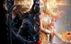 Prochaine visioconférence le 31 Octobre à 13h30 !