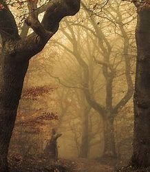 Conseils pour ce mois de Mars