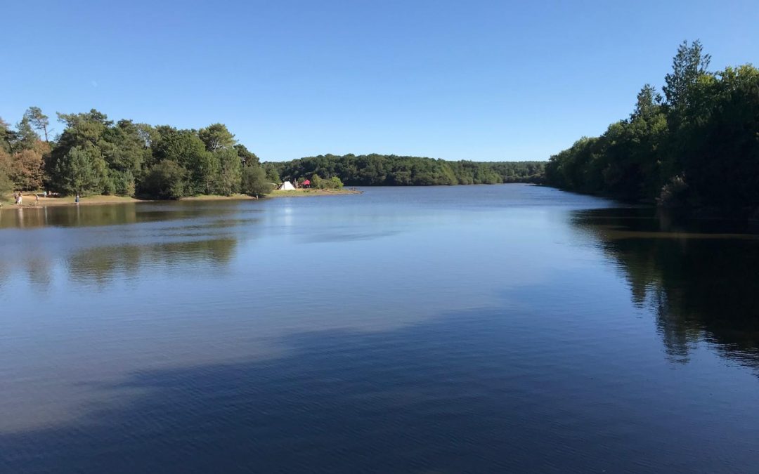 Prochaine visio le 31 mars à 12h30