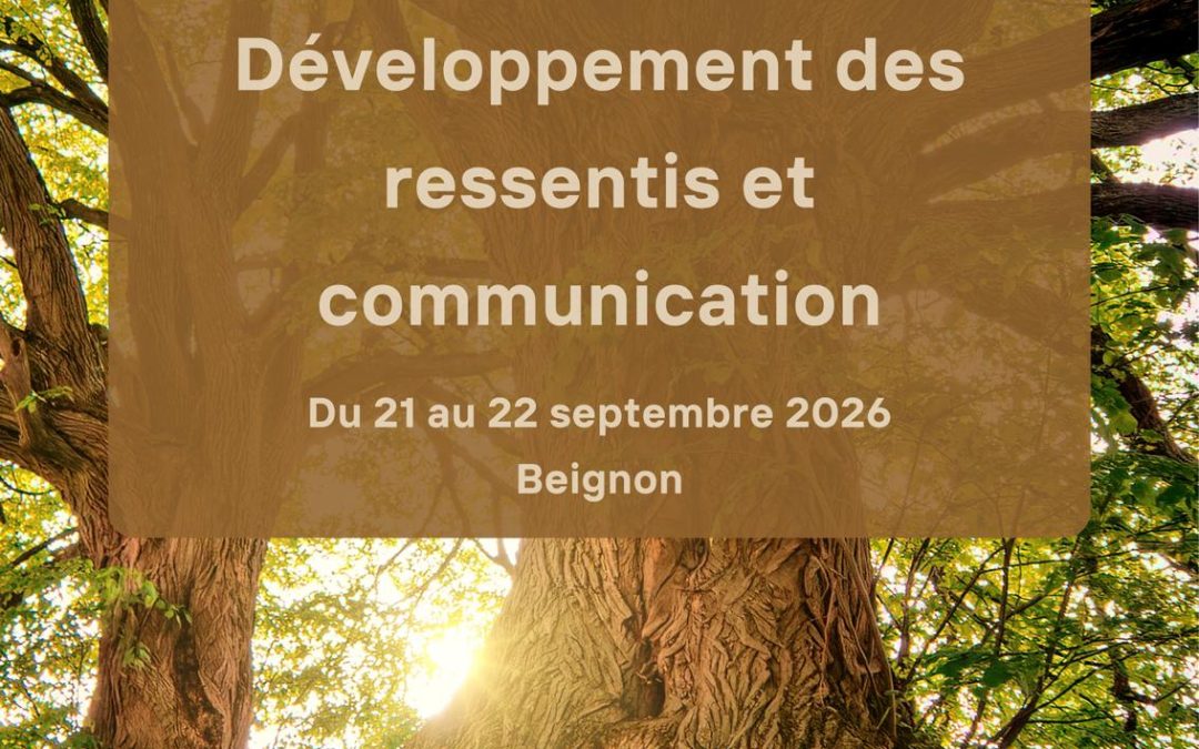 Stage développement des ressentis et communication